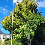 Appartement Fitness Entspannung Sauna Im Westerwald *