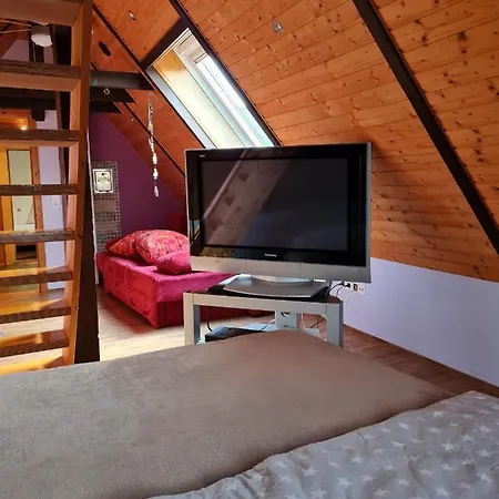 Apartamento Fitness Entspannung Sauna Im Westerwald *