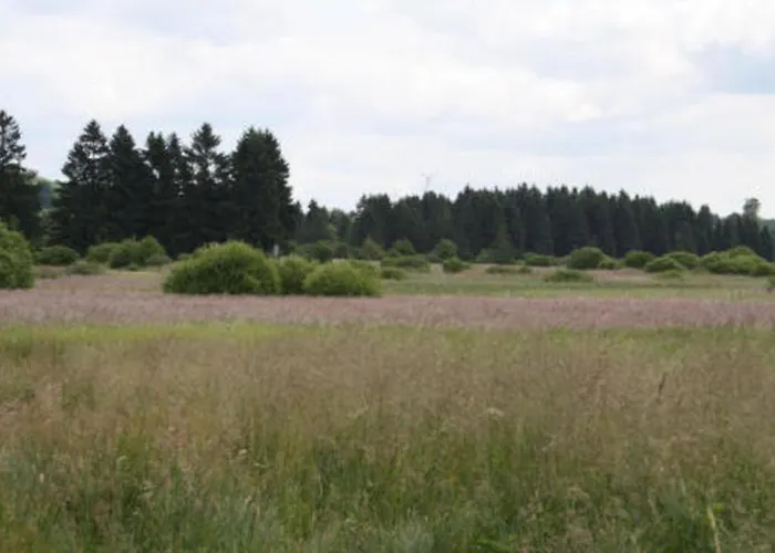 Fitness Entspannung Sauna Im Westerwald *