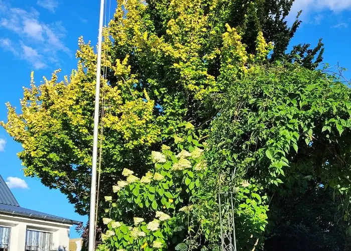 דירה Fitness Entspannung Sauna Im Westerwald *